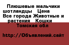 Плюшевые мальчики шотландцы › Цена ­ 500 - Все города Животные и растения » Кошки   . Томская обл.